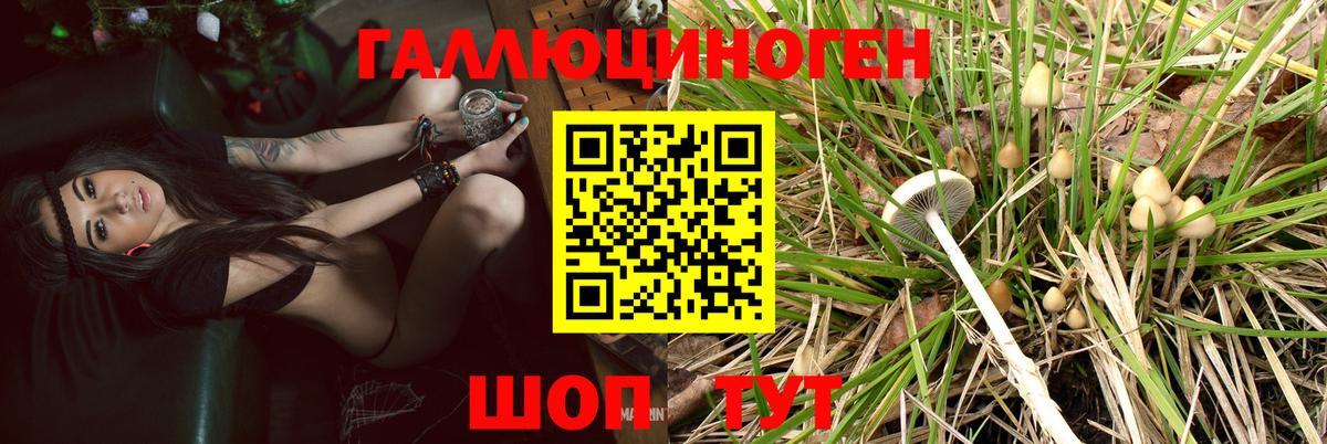 Галлюциногенные грибы Magic Shrooms Краснокамск