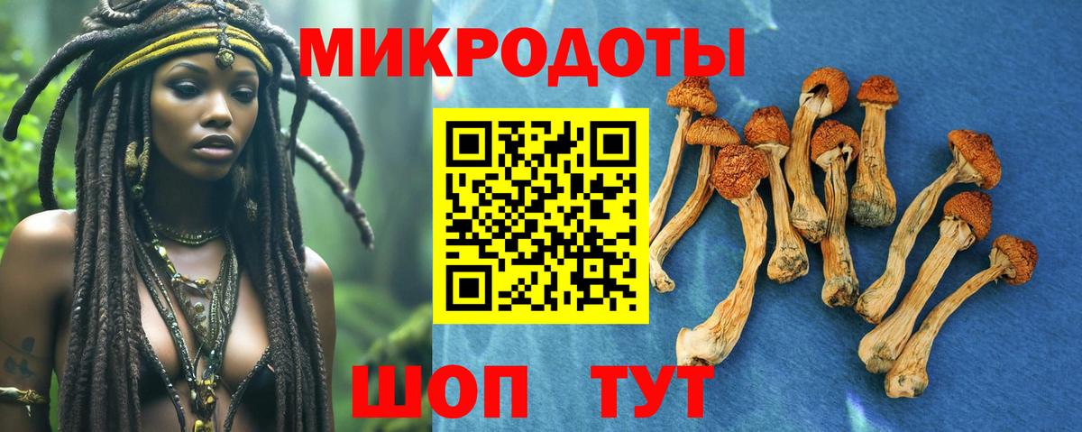 Псилоцибиновые грибы Cubensis  магазин продажи   Краснокамск  Галлюциногенные грибы GOLDEN TEACHER  Вход с VPN 